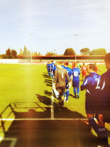 爱游戏官网充值-2024年国际乒联混合团体世界杯：印度队表现大放异彩，2024年乒乓球世锦赛  第2张